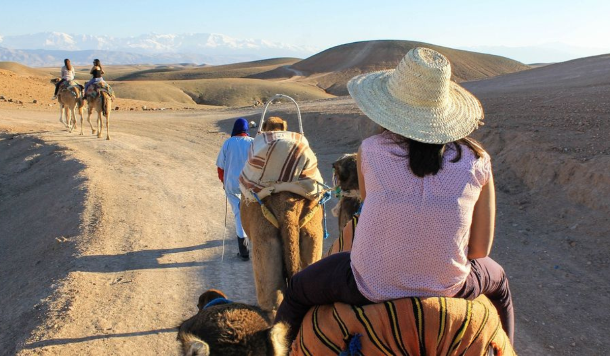 Camel Ride Agafay Marrakech